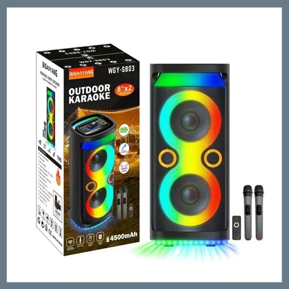Prijenosni Bluetooth Zvučnik s 2 Mikrofona WGY-S803