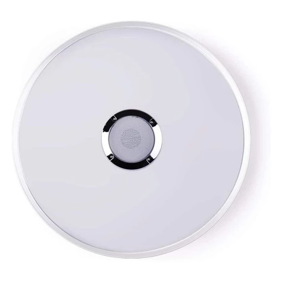 LED stropna svjetiljka s Bluetooth funkcijom, 42 cm abc825
